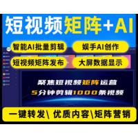 抖音短视频矩阵获客系统剪辑运营seo排名爆店码优化霸屏AI自动混剪推广拓客企业号